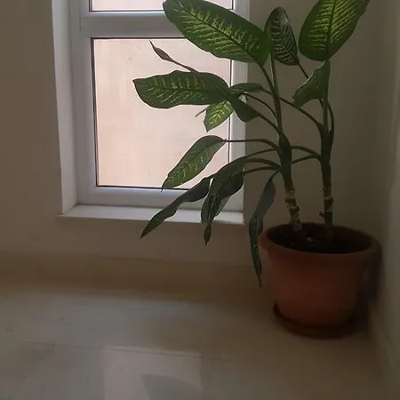 Apartment Apartman